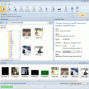 DVD Author Plus Resimli Anlatim