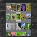 Darktable-3.2.1