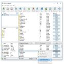 DiskSavvy  Disk analiz