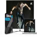DivX Player