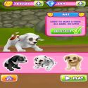 Dog Run