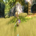 Dolphin Emulator