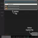 Duplicate File Remover