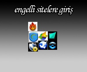 Engelli Sitelere Giriş Programları