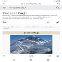 Google Go Google Go