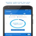 Google Triangle