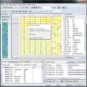 Hex Workshop Hex Editor