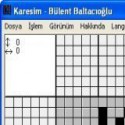 Karesim