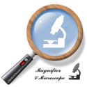 Magnifier