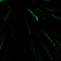 Matrix Reloaded 3D Screensaver