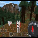 Minecraft Pocket Editon