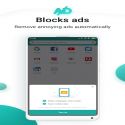 Mint Browser