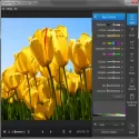 Movavi Photo Editor