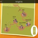 My English Path