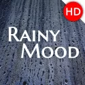 Rainy Mood-2.5