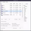 ShanaEncoder