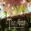 The Ants