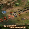 The Ants