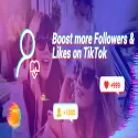 TikBooster