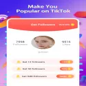 TikBooster