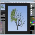 Tree Studio