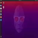 Ubuntu-20.10