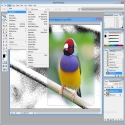 Adobe Photoshop CS2