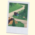 art of rally