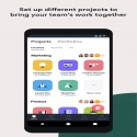 Asana: Work in one place