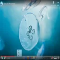 Deepin