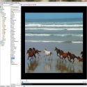 FileSee