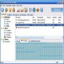 Free Download Manager Resimli Anlatim