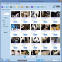 iVideo Converter