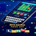 Lingo