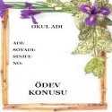 Hazır ödev kapakları Resimli Anlatim