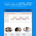 TeamViewer Meeting