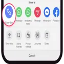 TicToz Video Downloader