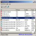 WebBrowserPassView Resimli Anlatim