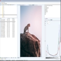 WildBit Viewer
