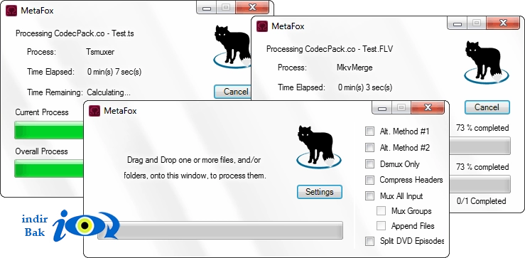 MetaFox
