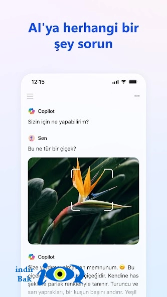 ??Microsoft Copilot