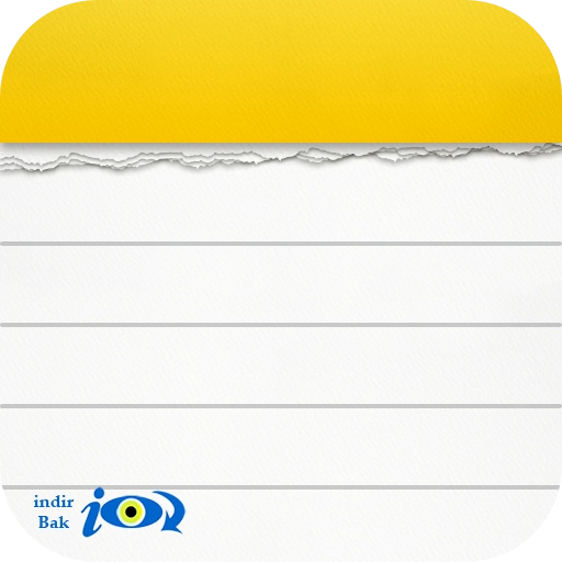 Notepad, Notes