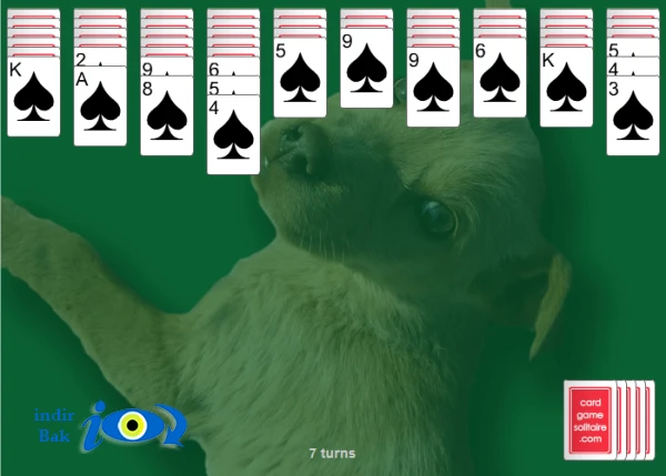 Spider Solitaire