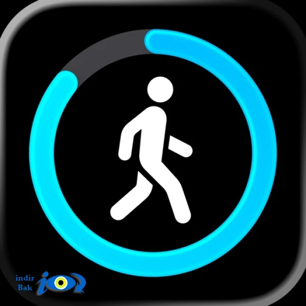 StepsApp Pedometer
