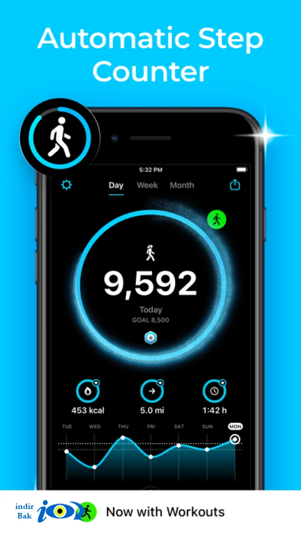 StepsApp Pedometer