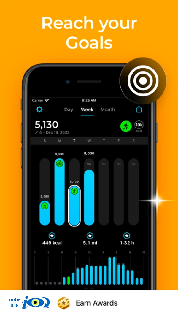 StepsApp Pedometer