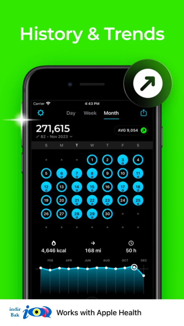 StepsApp Pedometer