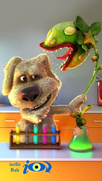 Talking Ben the Dog