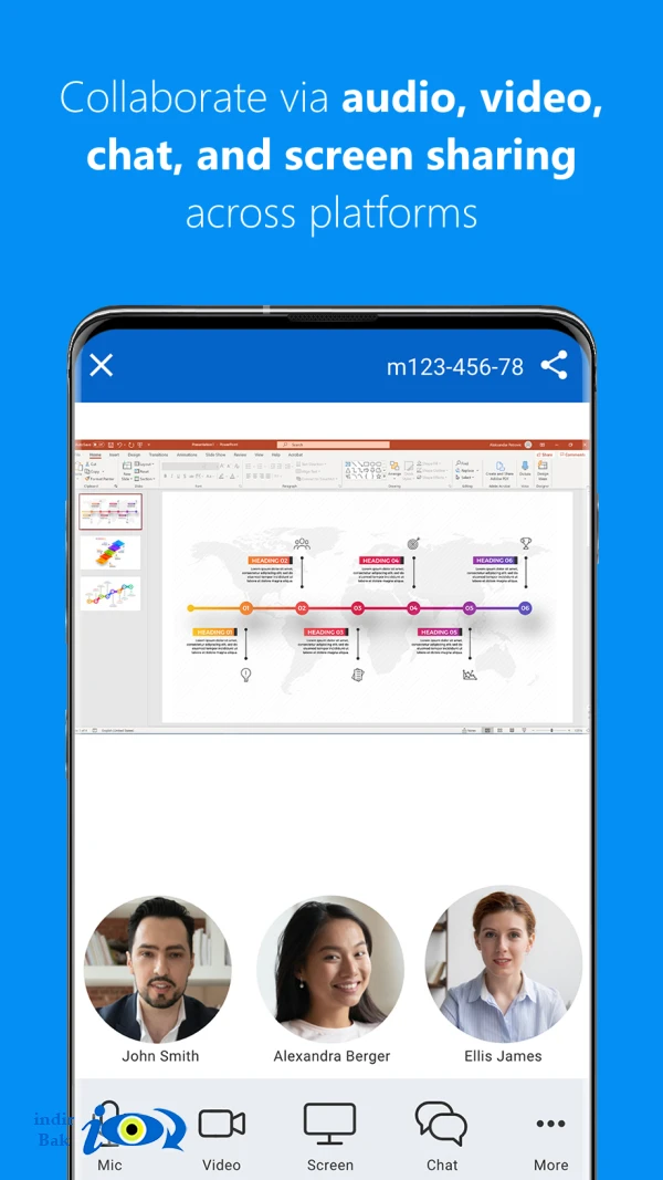 TeamViewer Meeting