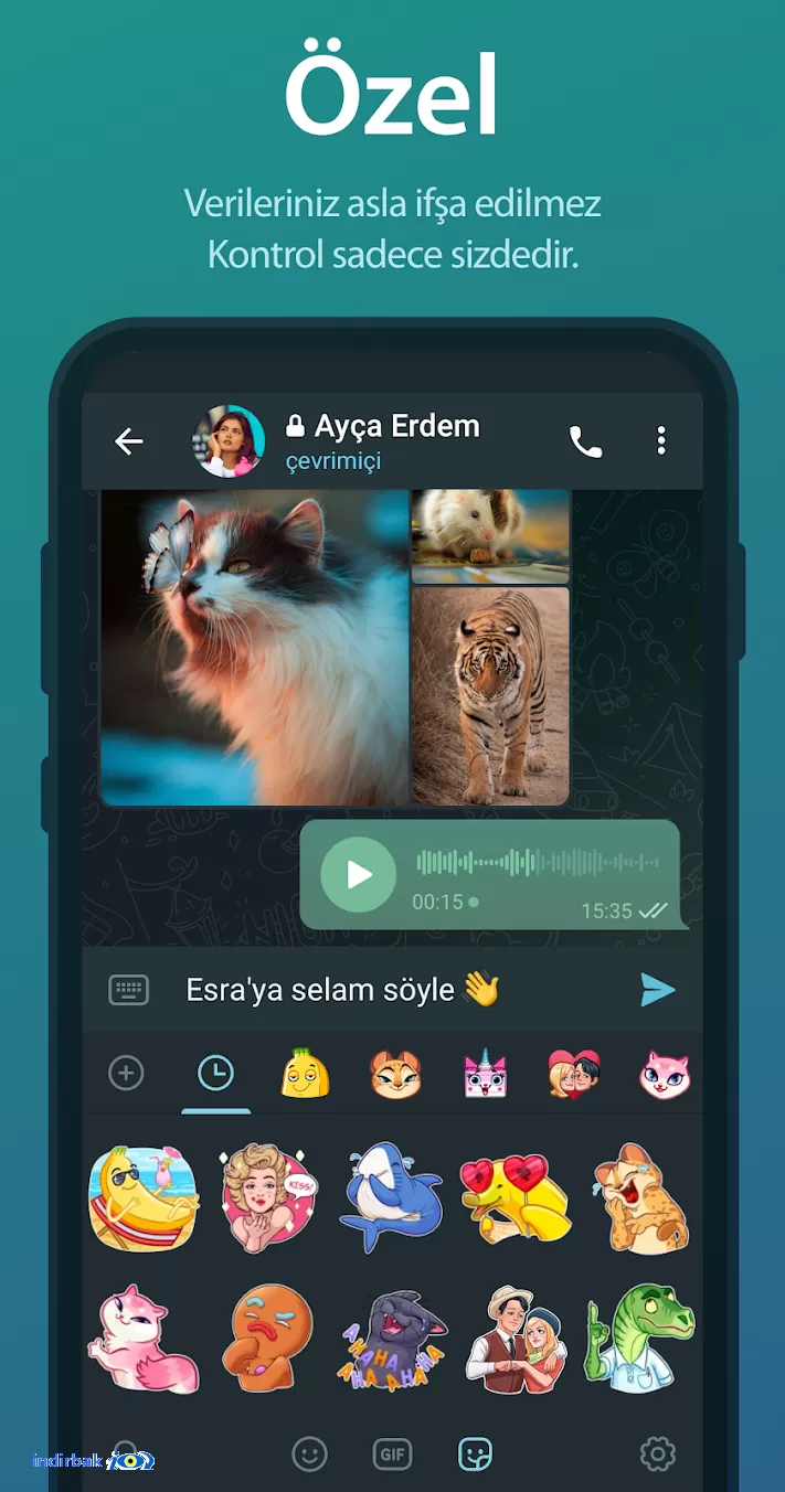 Telegram